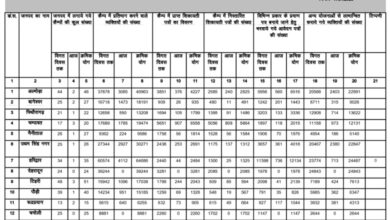 जन-जन की सरकार, जन-जन के द्वार : मुख्यमंत्री पुष्कर धामी के नेतृत्व में सुशासन की ठोस और ऐतिहासिक उपलब्धि