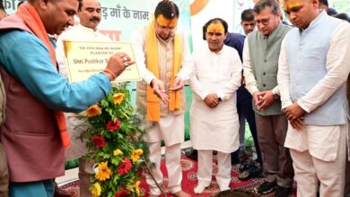 हरेला पर्व पर मुख्यमंत्री पुष्कर धामी ने किया राज्य स्तरीय पौधारोपण कार्यक्रम का शुभारंभ
